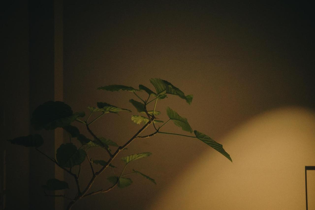 七条みやび Nanajo Miyabi Inn Kyoto Extérieur photo